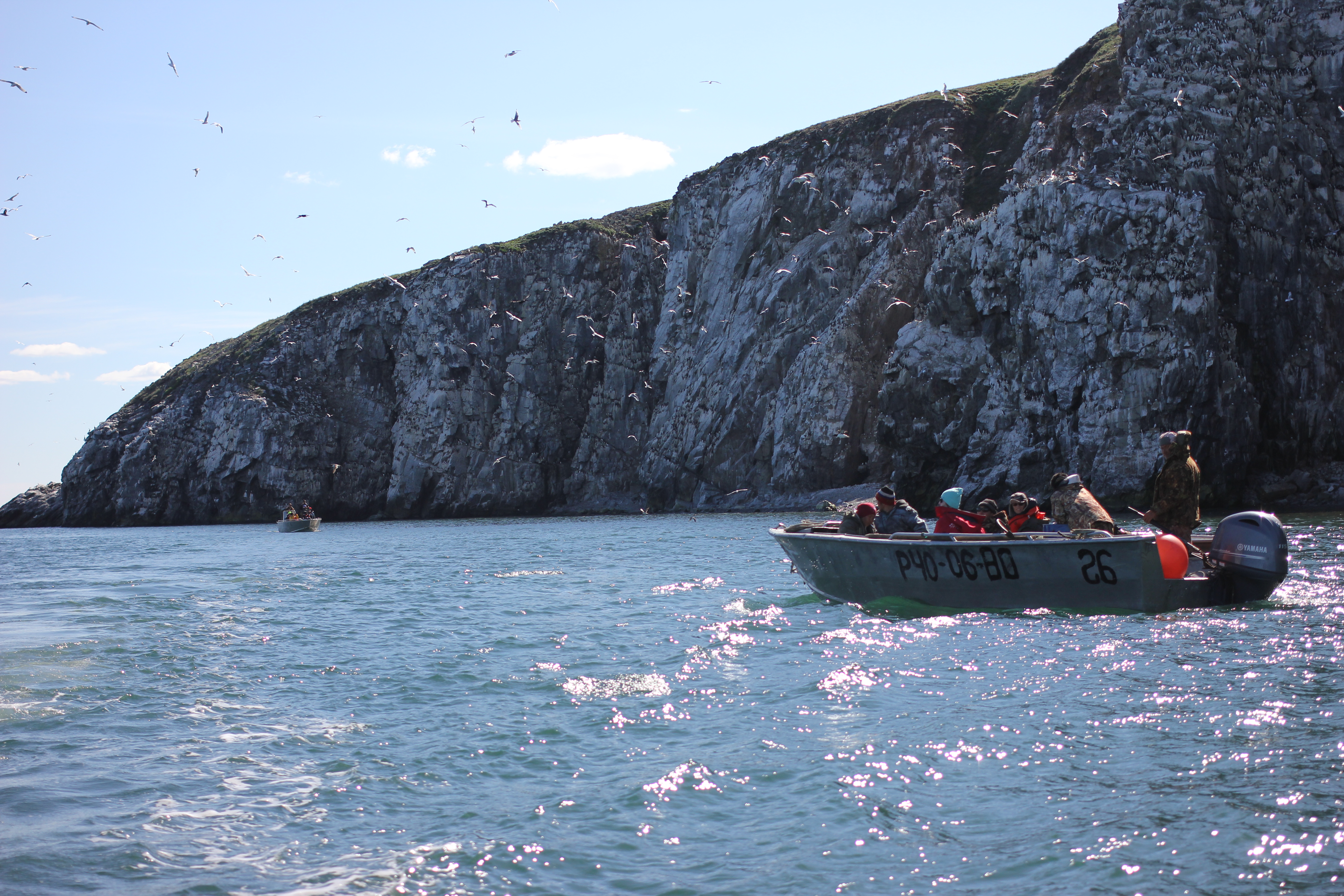 Members of the Diomede Island Family Reunion expedition pass a bird rookery along the coast of Chukotka in early July 2016. The region, rich in flora and fauna, is rarely visited. (Kirsten Swann / Alaska Dispatch News)
