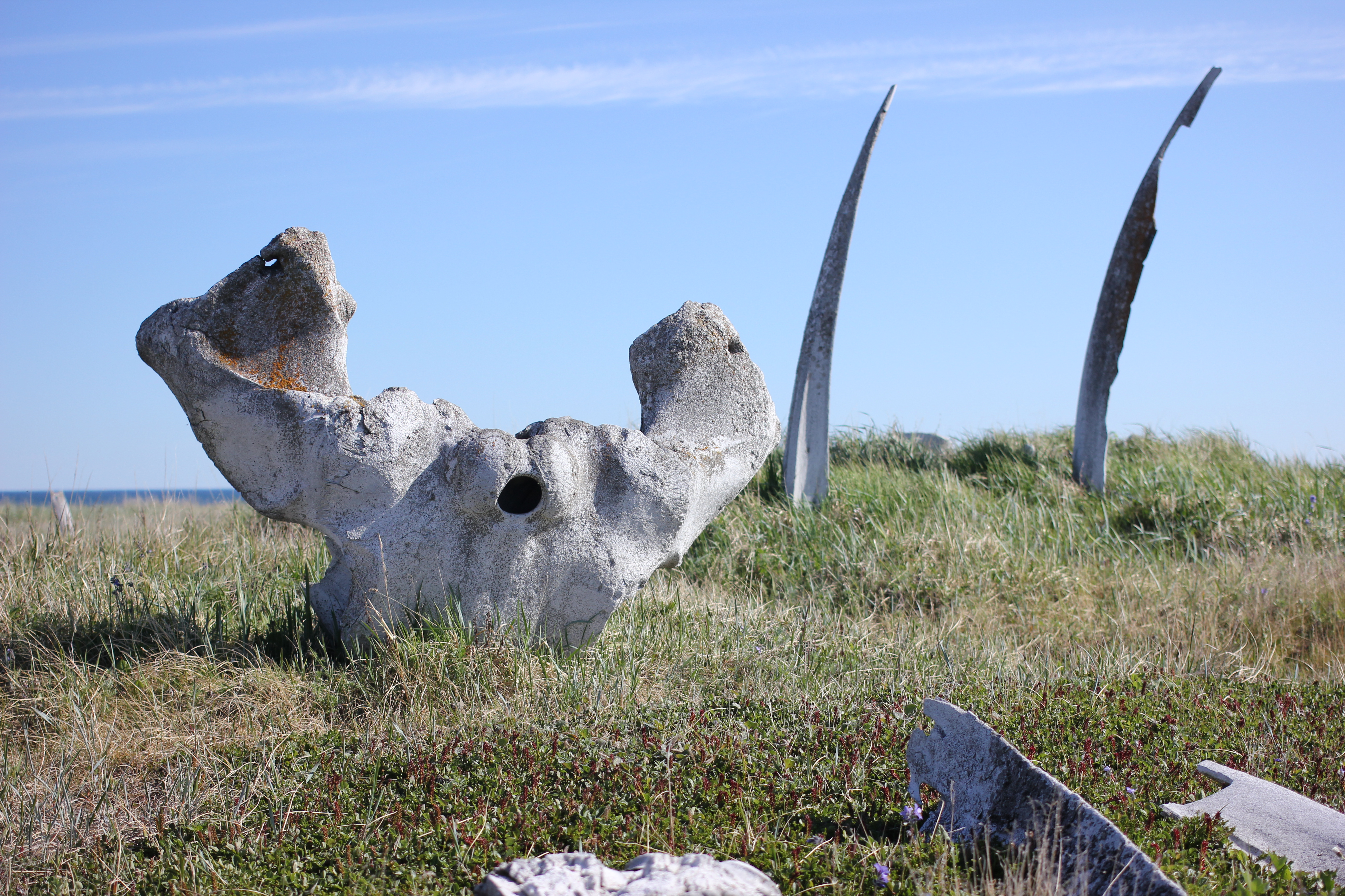 Whale bones at Mechigmen, Chukotka, an ancient settlement filled with evidence of the region’s strong subsistence culture. Bones accumulated here for years, creating rolling hills on the otherwise flat spit. (Kirsten Swann / Alaska Dispatch News)