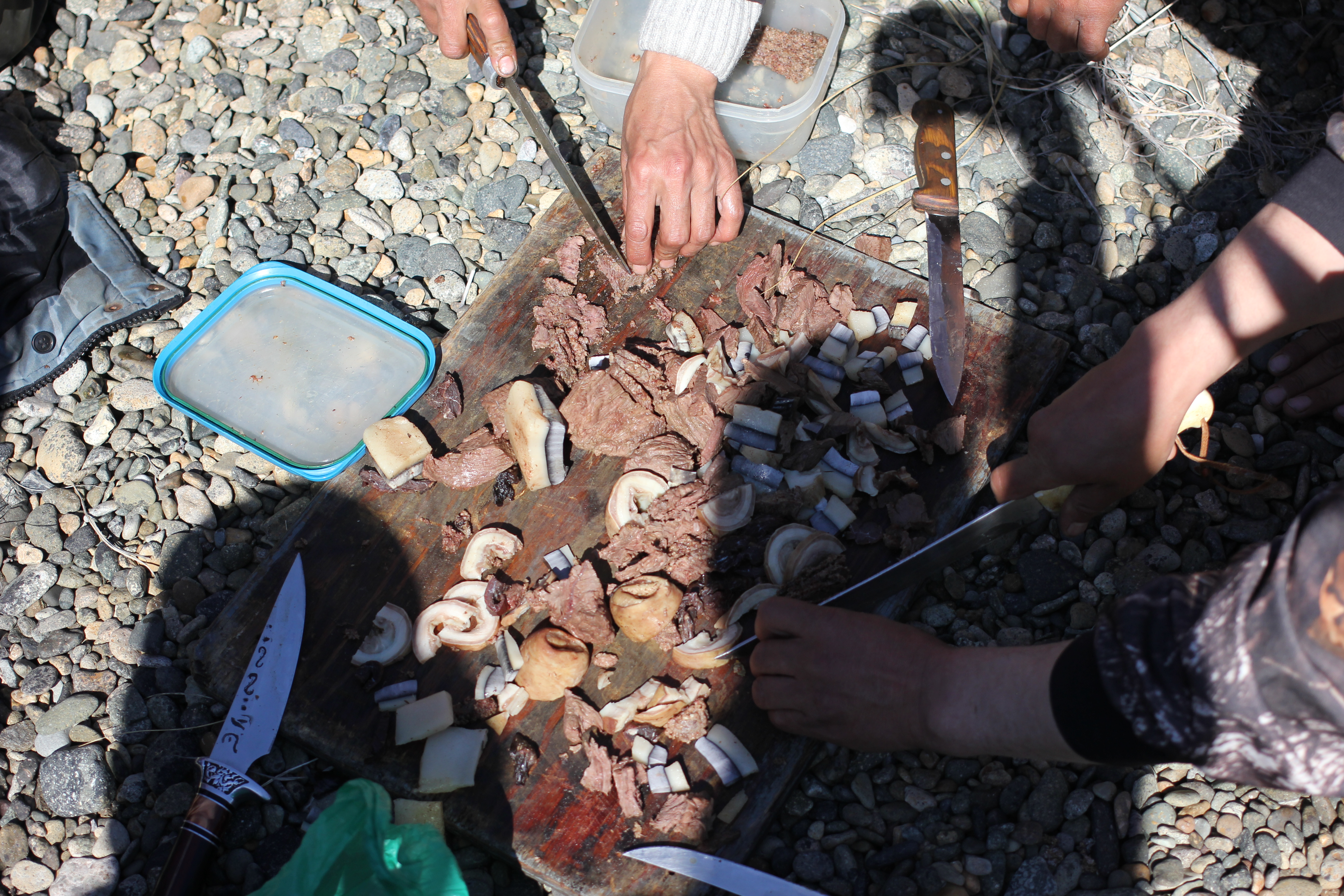 Local guides enjoy a lunch of walrus meat, intestine and gray whale muktuk on the beach along Chukotka’s Bering Strait coast, July 2016. (Kirsten Swann / Alaska Dispatch News)