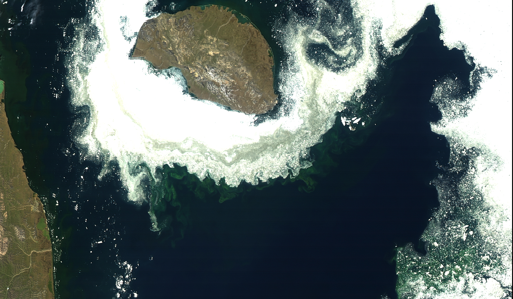 In an undated handout image, a bloom of algae near Wrangel Island, in the Arctic Ocean not far from the easternmost point of Russia. Global warming is altering the ecology of the Arctic Ocean, researchers say, with algae production up an estimated 47 percent since 1997 Ñ a change likely to have a profound effect for animals further up the food chain. (M. Kahru via The New York Times) -- NO SALES; FOR EDITORIAL USE ONLY WITH STORY SLUGGED ARCTIC WARMING BY ZIMMER FOR NOV. 23 2016. ALL OTHER USE PROHIBITED. Ñ