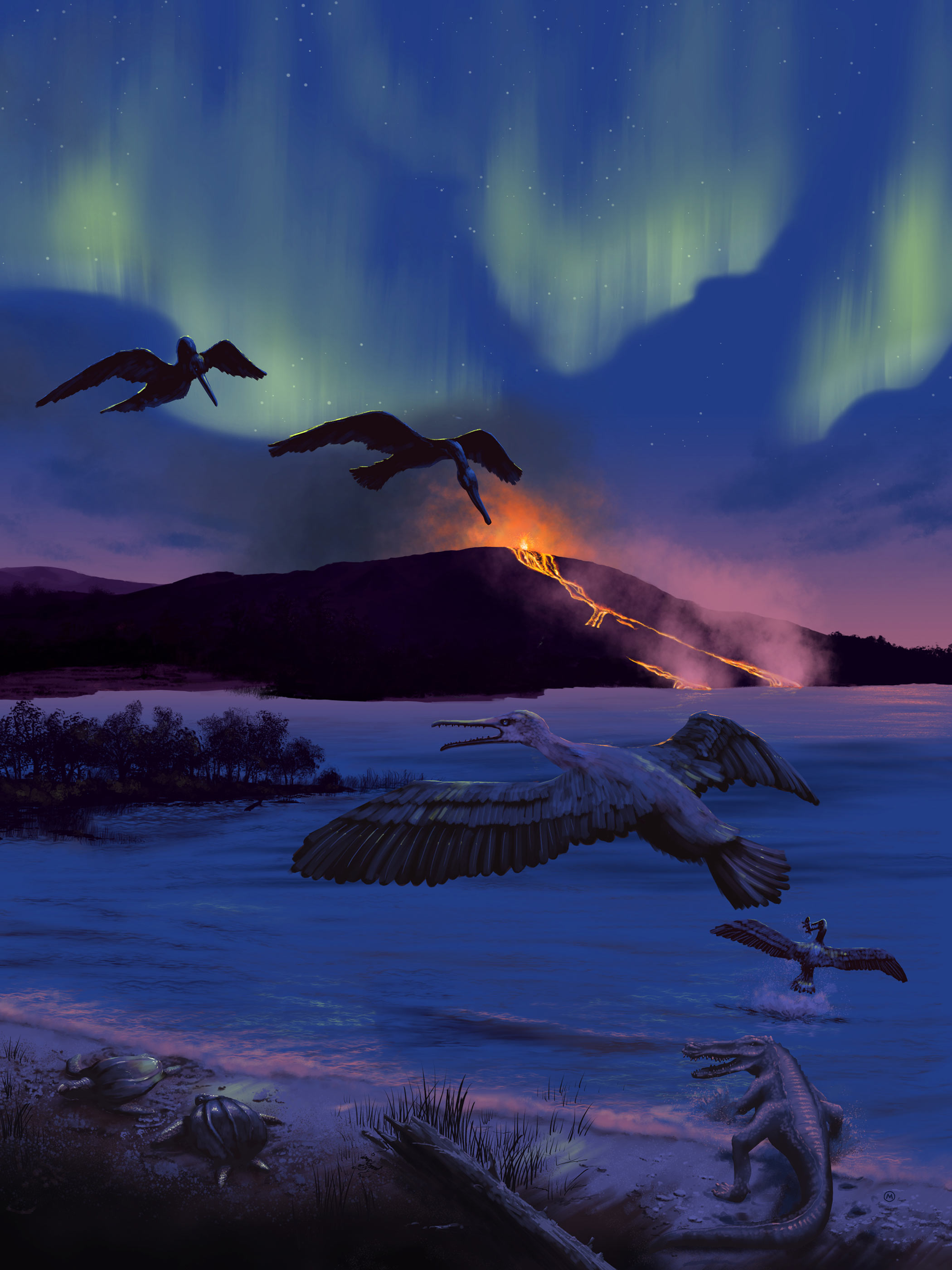 An artist’s conception of the bird’s possible environment 90 million years ago, characterized by volcanic activity, a freshwater bay, turtles, fish, and champsosaurs. (University of Rochester illustration / Michael Osadciw)