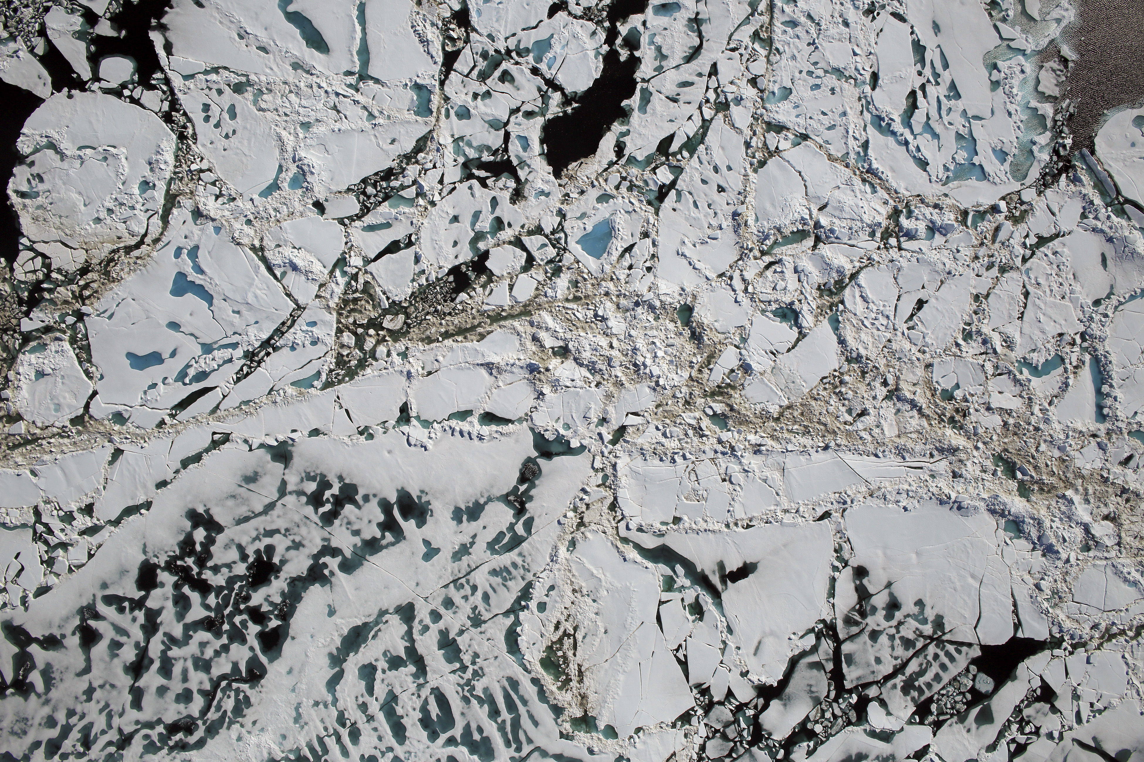 Speedier sea ice in warming Arctic could spread pollution farther