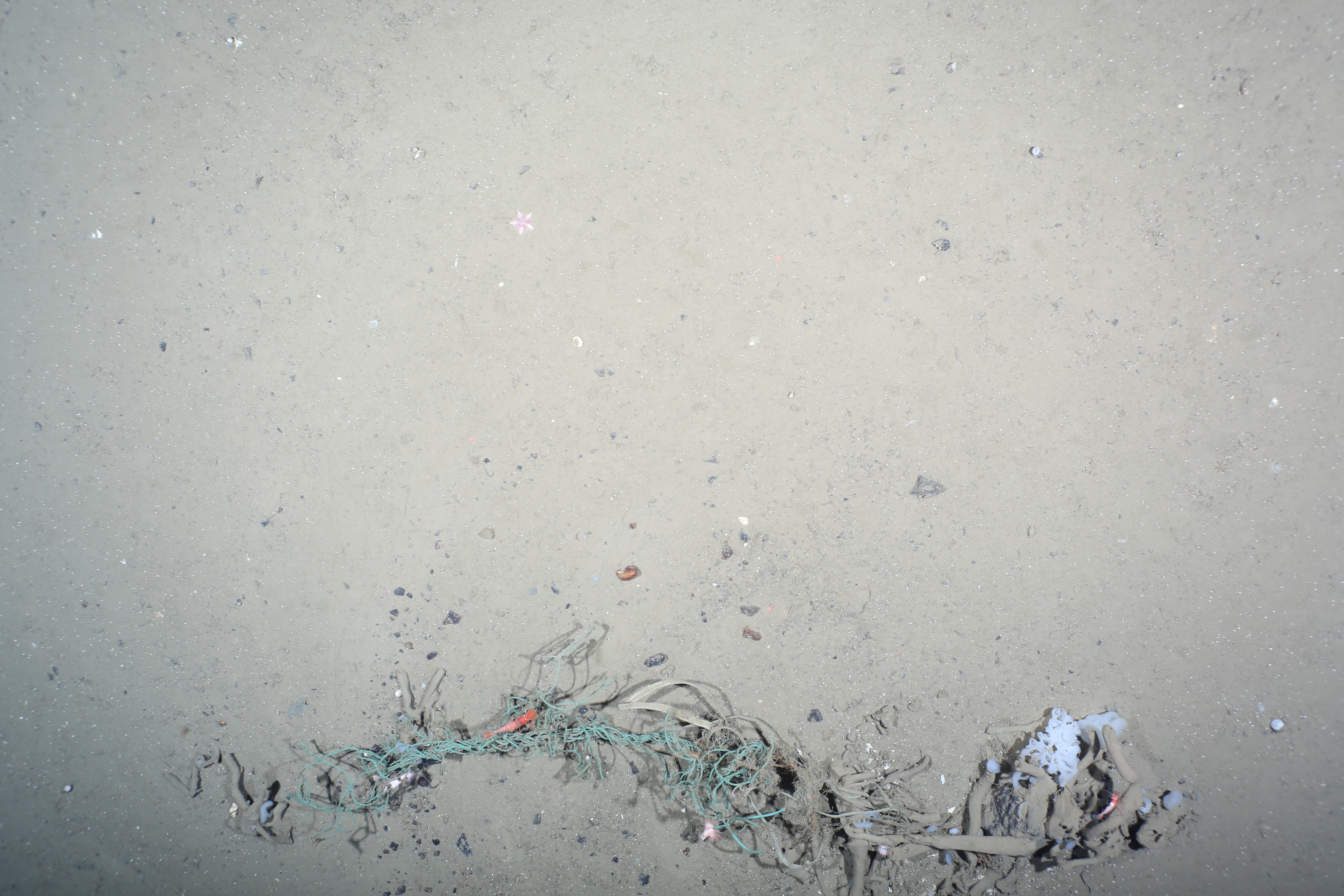 Researchers find growing piles of trash on the Arctic seabed