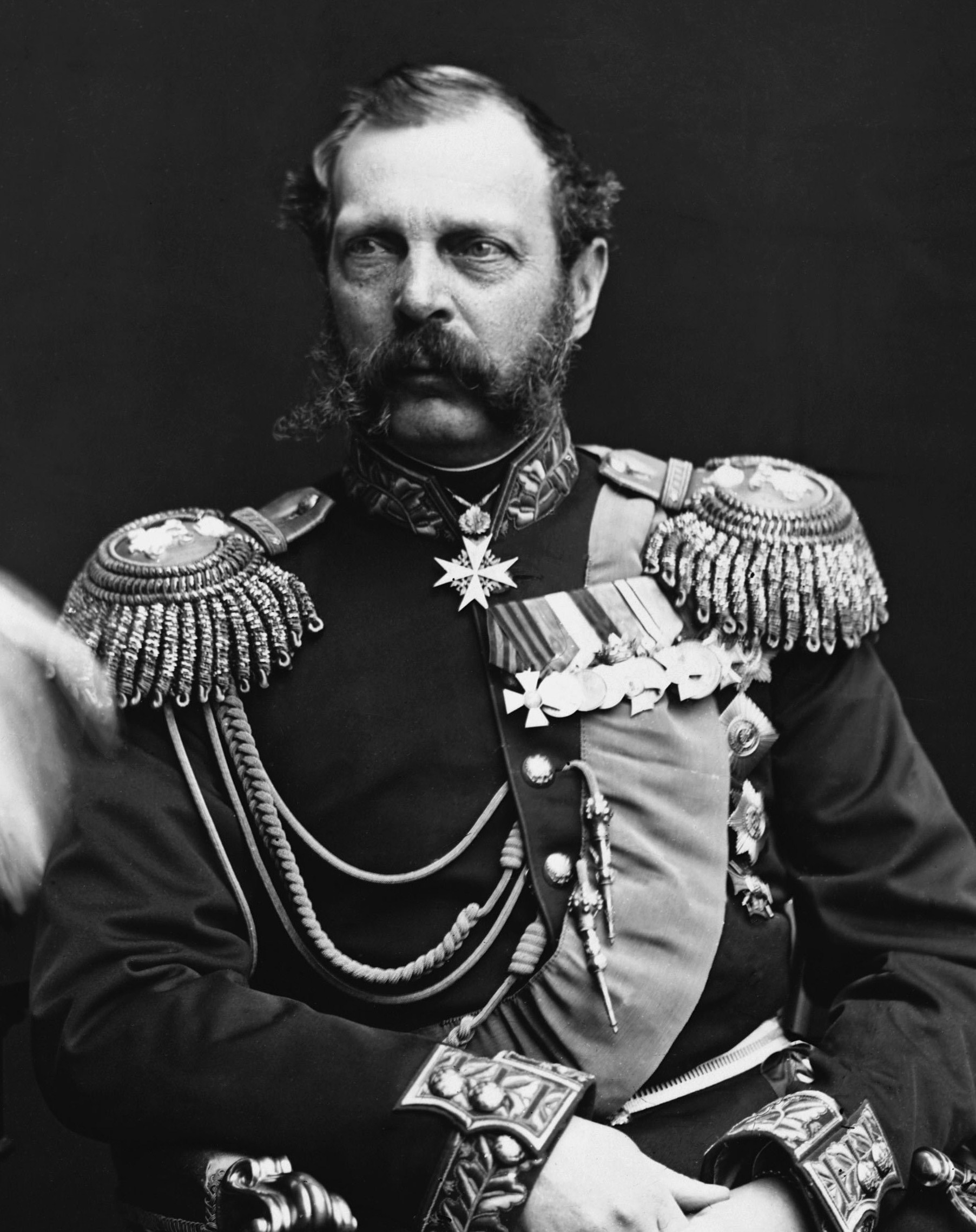 Alexander II in 1878