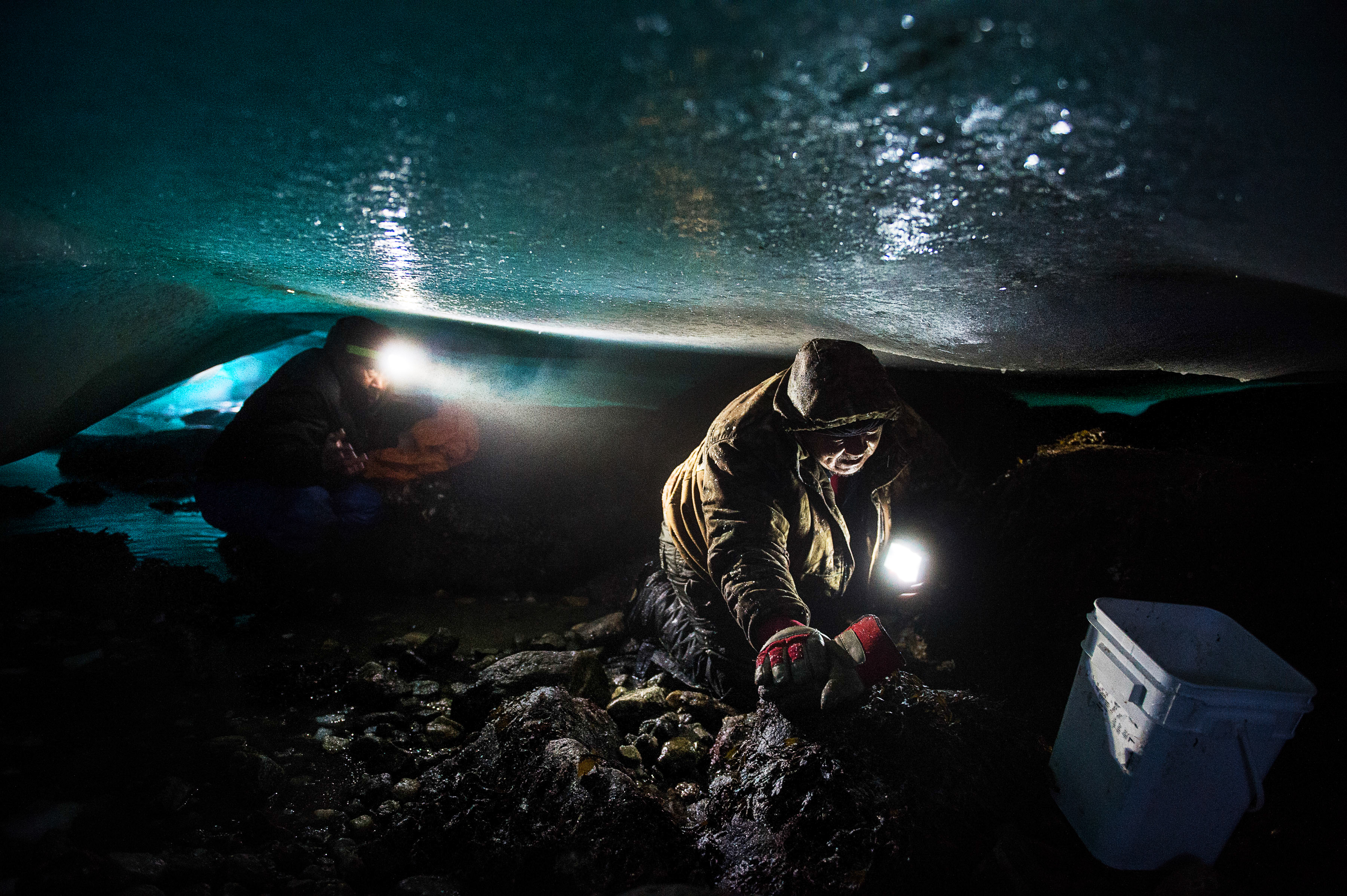 Adami Alaku, right, and Tiisi Qisiiq collects mussels under the sea ice near Kangiqsujuaq, Nunavik, Quebec, March 2, 2017. When the winter tide goes out on a northern Canadian bay, some Inuit clamber into the ice caves below to harvest fresh food. (Aaron Vincent Elkaim / The New York Times)
