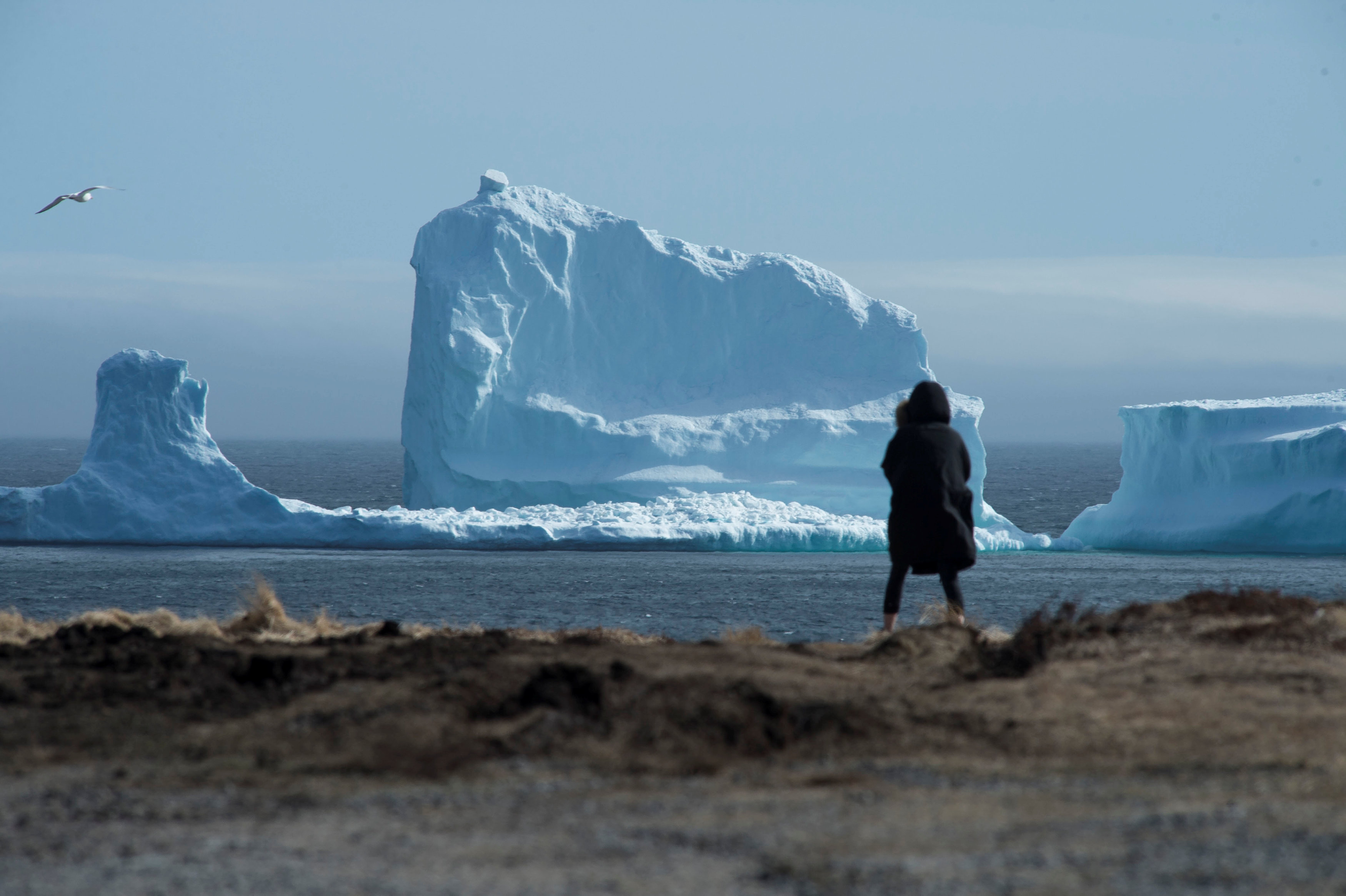 A resident views the first iceberg of the season as it passes the South Shore, also known as "Iceberg Alley", near Ferryland Newfoundland, Canada April 16, 2017. Picture taken April 16, 2017. REUTERS/Greg Locke