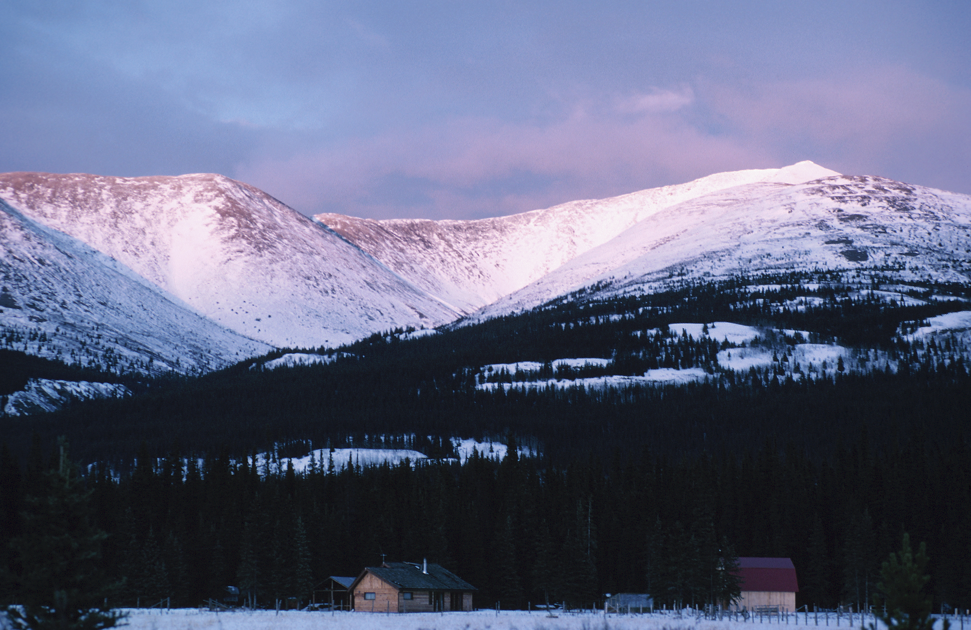Canada's Yukon territory is giving away free land — to those willing to farm it. (Getty)