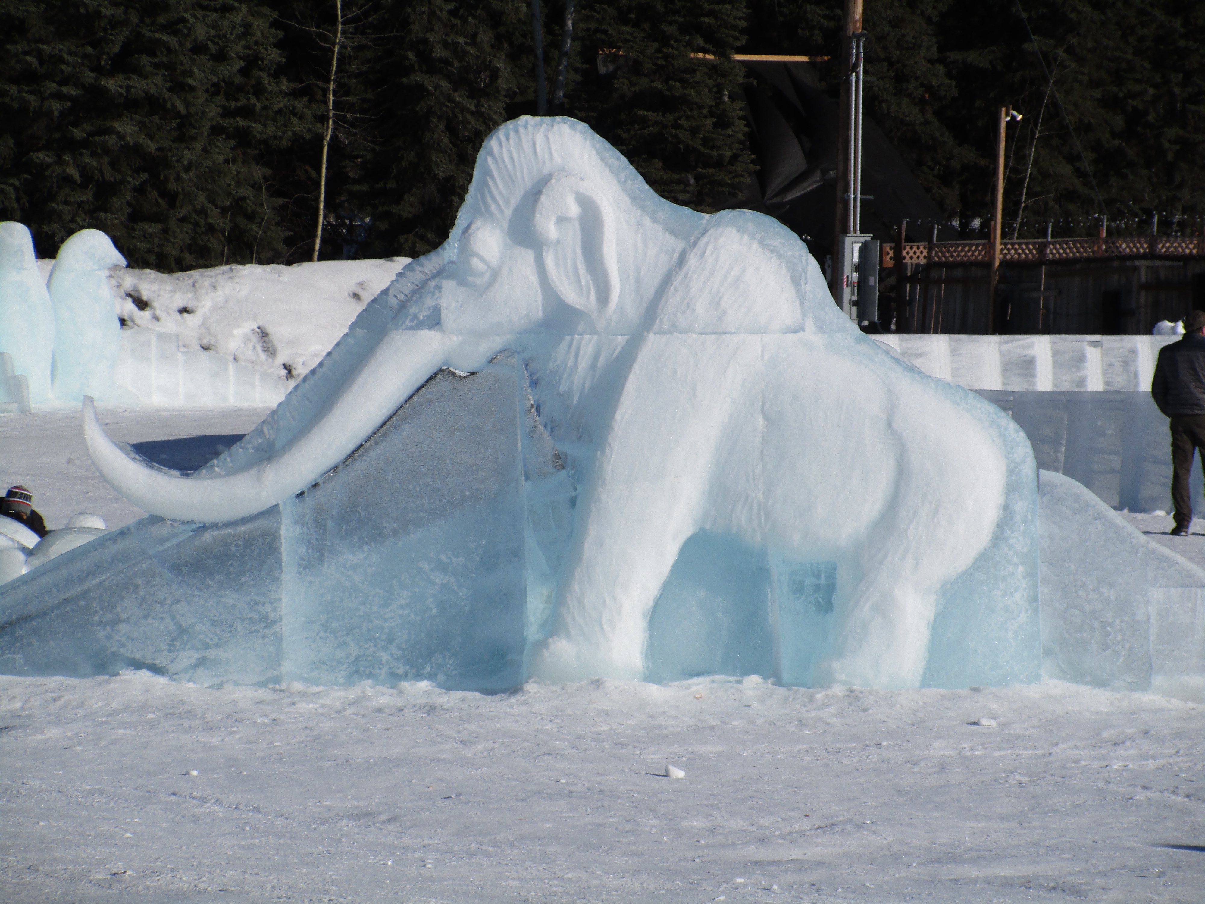 An ice sculpture of a mammoth doubles as a slide at the 2016 BP World Ice Art Championships in Fairbanks. (Mike Dunham / Alaska Dispatch News)