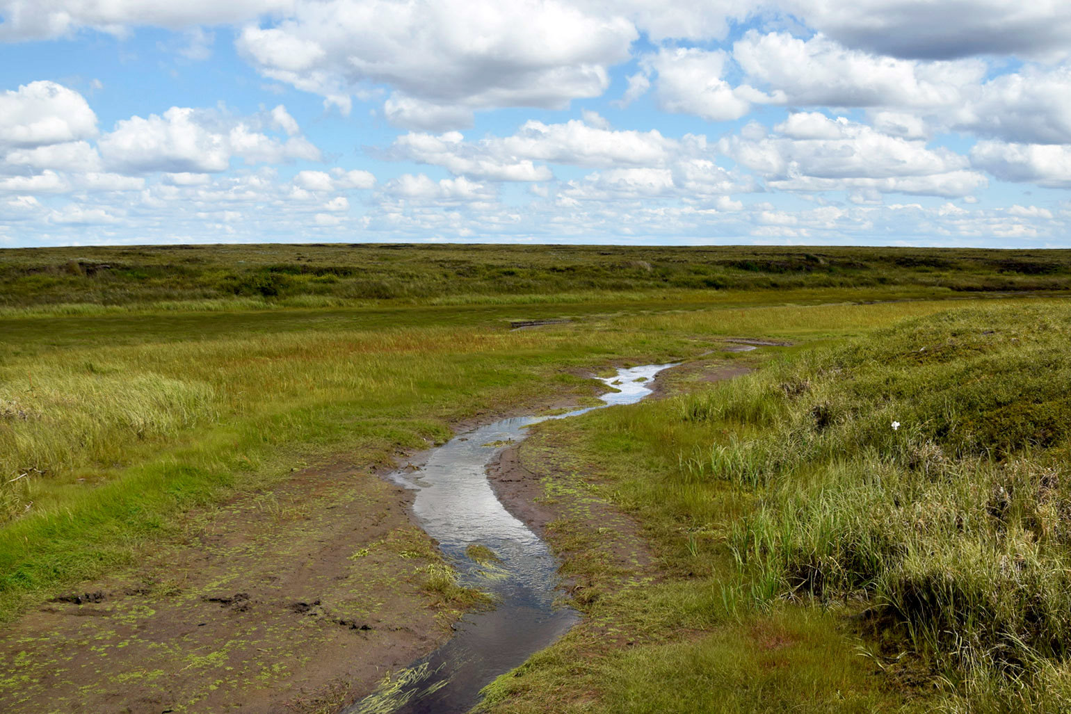 In an undated handout image, a stream in Alaska's vast Yukon Delta National Wildlife Refuge, where the speed at which the permafrost is thawing is a vital question for climate scientists. Starting just a few feet below the surface and extending tens or even hundreds of feet down, Alaska's permafrost has safely sequestered vast amounts of carbon for centuries. (John Schade via The New York Times)