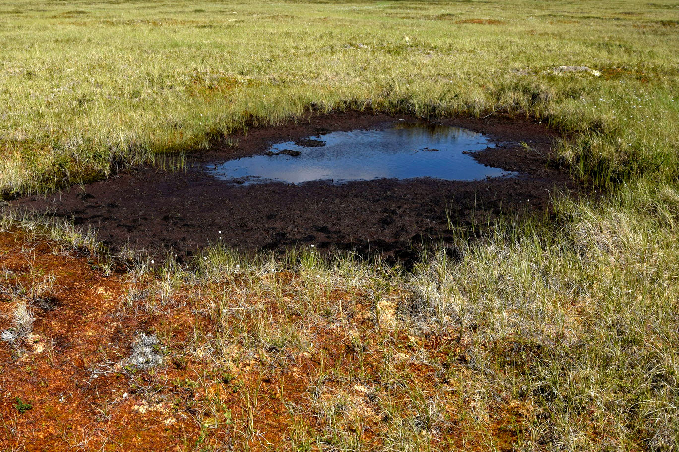In an undated handout image, a boggy depression in Alaska's vast Yukon Delta National Wildlife Refuge, likely formed when ice in the top layer of permafrost melted. Starting just a few feet below the surface and extending tens or even hundreds of feet down, Alaska's permafrost has safely sequestered vast amounts of carbon for centuries. How quickly it is now thawing is a question of critical import. (John Schade via The New York Times)