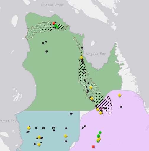 The green area of the map shows mining operation and exploration sites within Nunavik's migratory caribou range between 2010 and 2014. The red dot is the closed Asbestos Hill mine, the green dots are Raglan Mine and Nunavik Nickel mines and the yellow dots are Hopes Advance Bay, Ashram and Lac Otelnuk mining projects. (Courtesy Laval University via Nunatsiaq News)