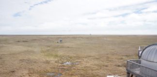 Tundra soils are releasing more carbon faster — and plant growth can’t offset the trend