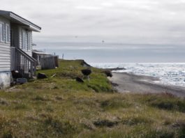 With erosion threatening its shoreline, Utqiagvik’s residents are stepping up as citizen scientists