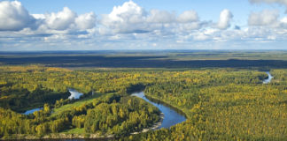 First direct measurements show West Siberian rivers are a major source of carbon emissions