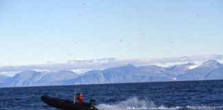 Melting glaciers at Novaya Zemlya contain radiation from nuclear bomb tests