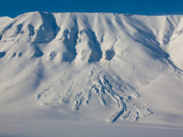 An avalanche on Svalbard has killed two German tourists