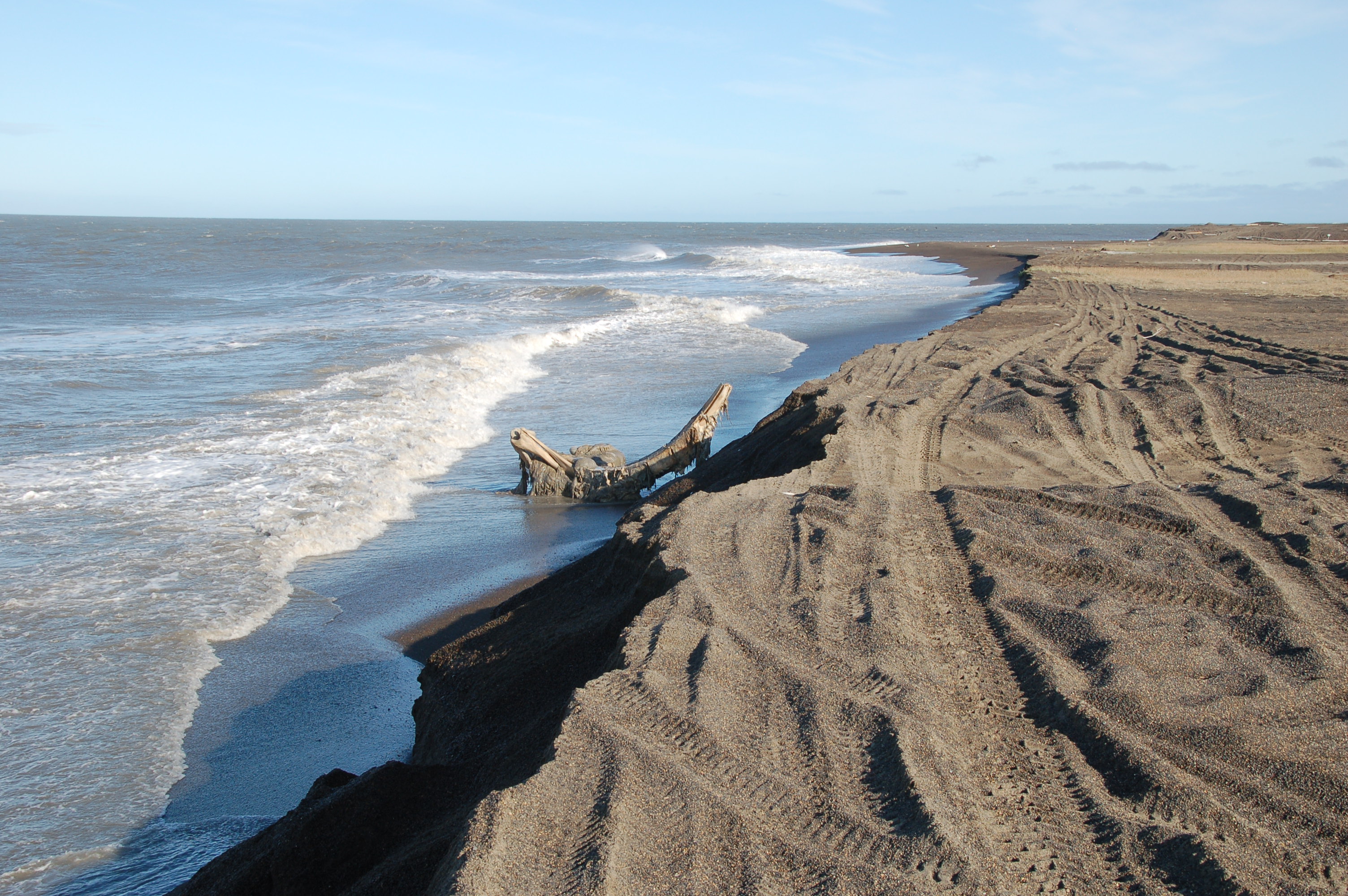 The beach at Point Barrow, the northernmost point of Alaska, near the Nuvuk site where erosion revealed an ancient graveyard. (U.S. Coast Guard)