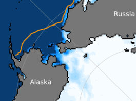 The Bering Sea is already nearly ice-free, setting up more havoc for its ecosystem and residents