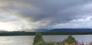 Dismal Yukon River salmon returns prompt widespread fishing closures, emergency aid — and tough questions