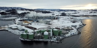 Norway’s Hurtigruten cruise operator signs deal to power ships with fish waste biogas