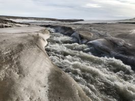 What Greenland’s record-breaking rain means for the planet