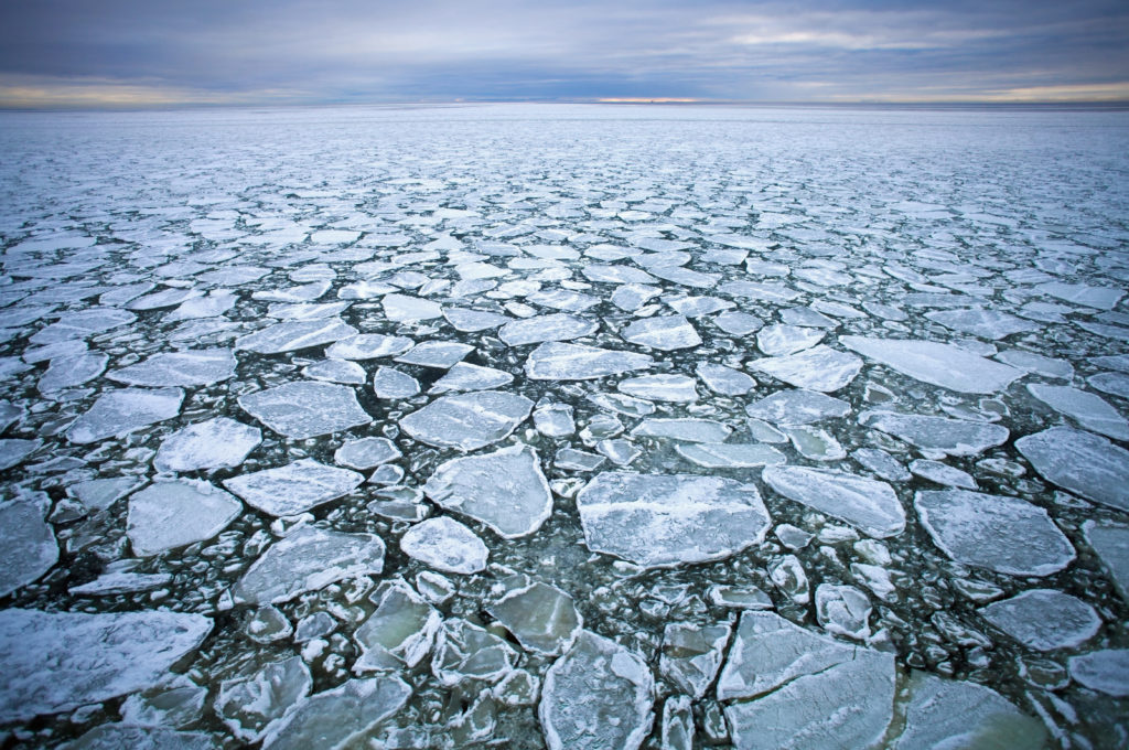 Microplastics may affect how Arctic sea ice forms and