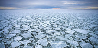 Microplastics may affect how Arctic sea ice forms and melts