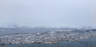 Why cross-border cooperation is a key to the sustainable development of Arctic cities and towns