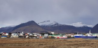 Iceland halts its commercial lobster harvest