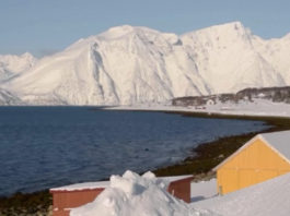 Arctic tourism businesses fear they won’t survive the coronavirus crisis