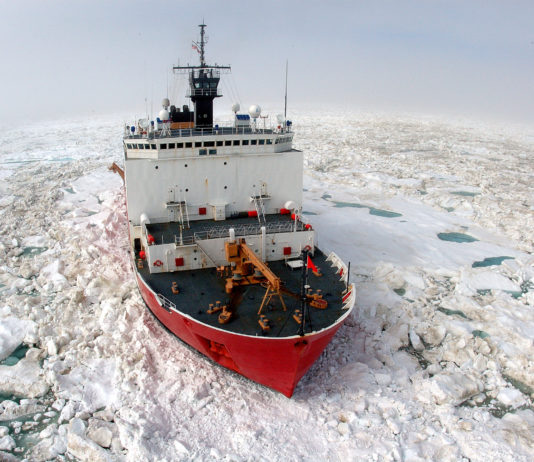 US Coast Guard proposes purchase of existing icebreaker as Arctic ‘bridging strategy’