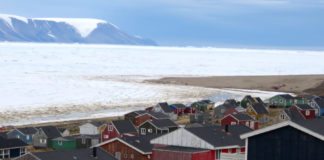 The COVID-19 pandemic has halted most US Arctic field research for 2020