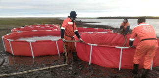 Fuel from Russian Arctic spill reaches large lake, says governor