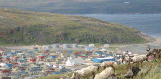 Nunavik pushes for its right to manage and harvest the region’s caribou
