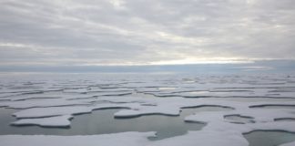 Arctic sea ice melt marks a new polar climate regime