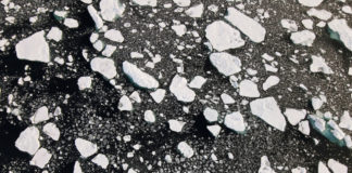 Arctic sea ice extent gets global attention — but it’s only part of the story