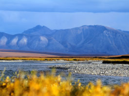 Only oil company that bid for ANWR tract gives up its lease