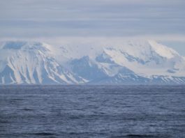 Norway objects to the EU’s granting cod quotas in Svalbard waters