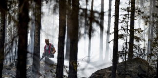 Finland’s worst wildfire in decades is raging through a northwest forest