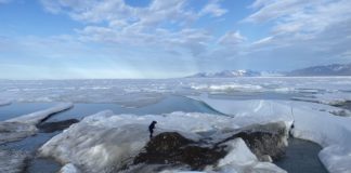 Swiss-Danish expedition finds the world’s northernmost island