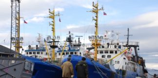 Norwegian and Russian cod fleets will see a 20 percent cut in Barents Sea quotas