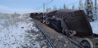 A key rail link in Arctic Sweden is closed after a derailment