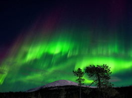 Are the northern lights caused by ‘particles from the Sun’? Not exactly