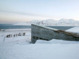 Svalbard’s seed vault will receive rare new deposits