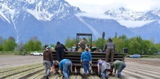 Climate change could enable Alaska to grow more of its own food