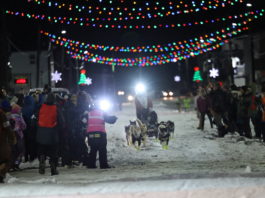 Nordic skier-turned-musher wins 50th running of Alaska’s Iditarod race