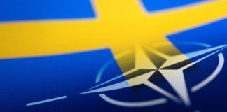 Sweden to spurn nuclear weapons as NATO member, foreign minister says