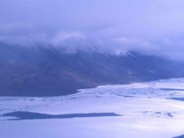 Could a warming Arctic unleash the next pandemic?