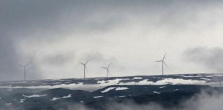 A year after Supreme Court verdict, Fosen wind farm still stands amid soaring energy crisis