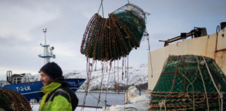 Norway’s Supreme Court hears Arctic snow crab case affecting oil, minerals